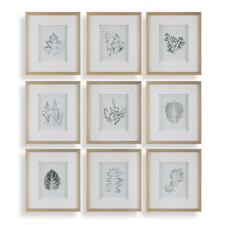 "NATURE'S SCRIPT" GLASS FRAMED BOTANICAL GALLERY SET
