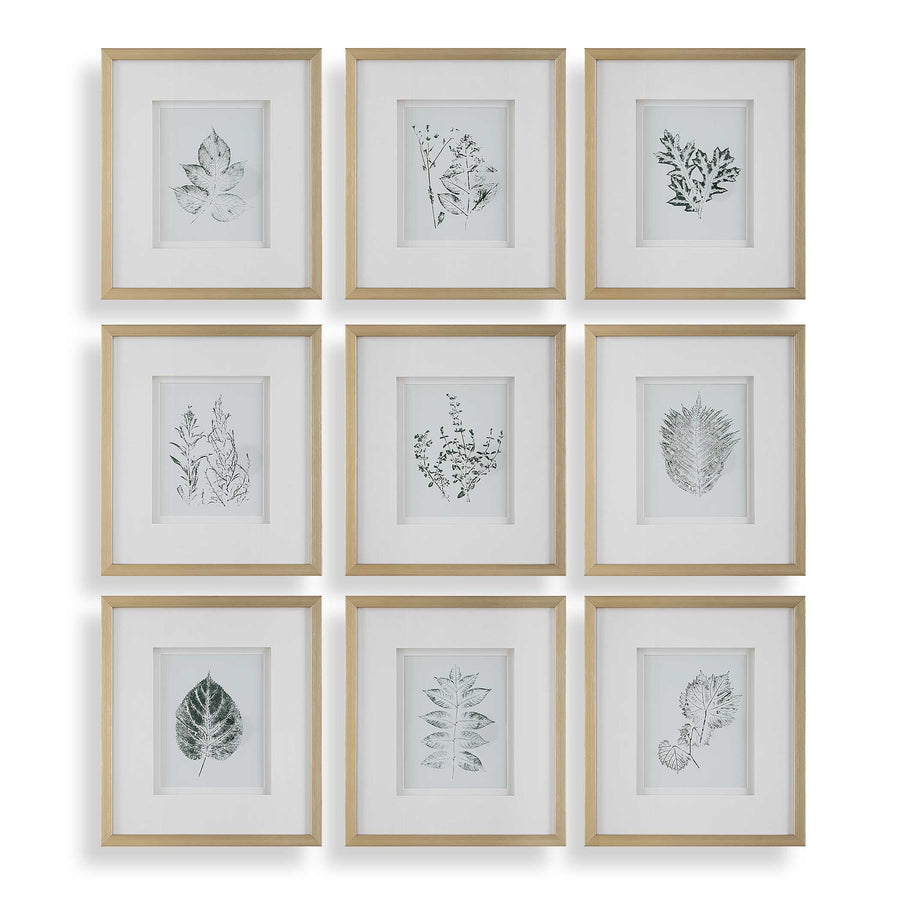"NATURE'S SCRIPT" GLASS FRAMED BOTANICAL GALLERY SET