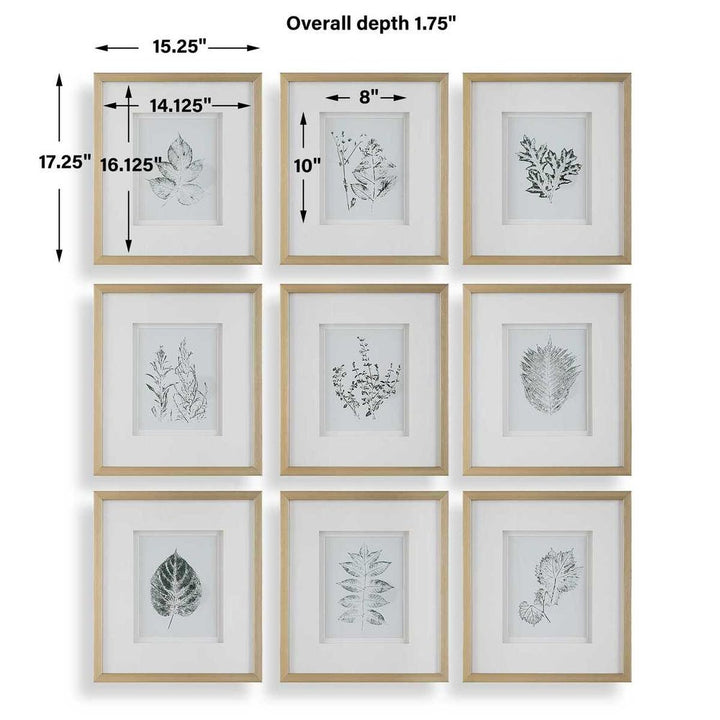 "NATURE'S SCRIPT" GLASS FRAMED BOTANICAL GALLERY SET