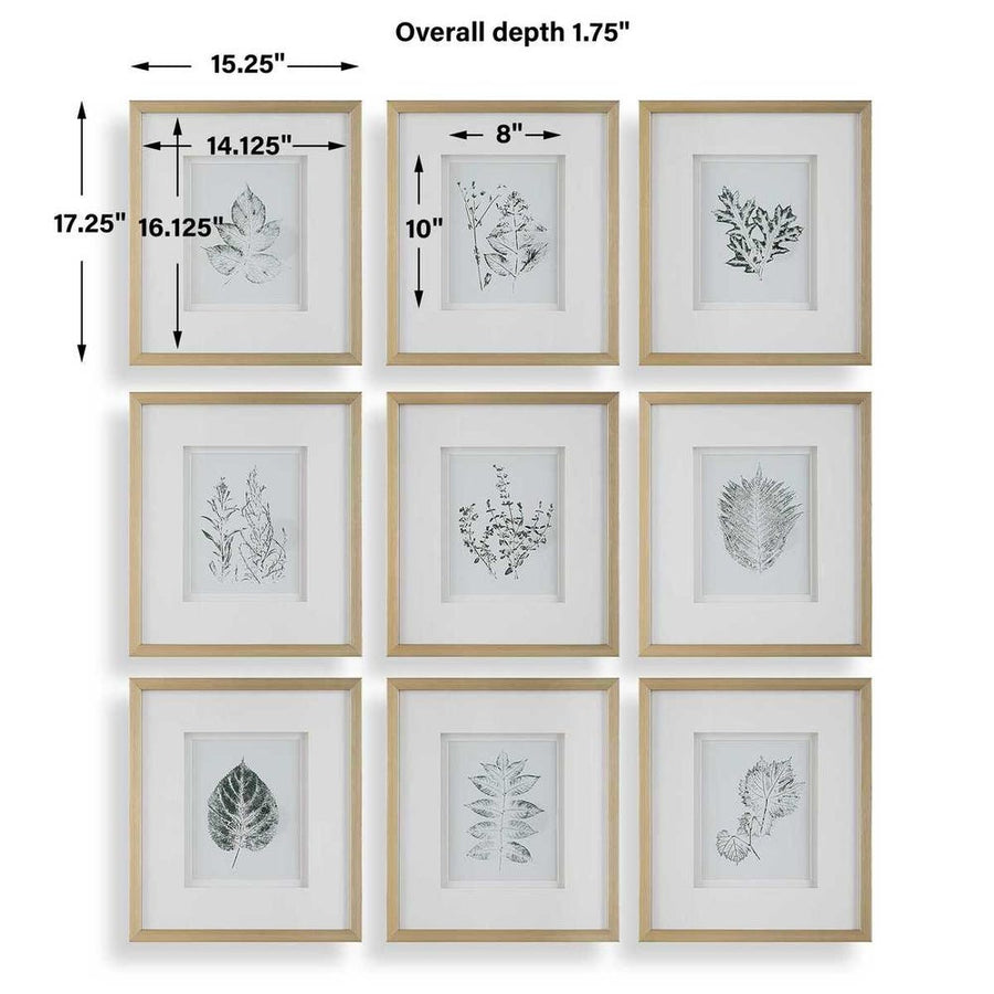 "NATURE'S SCRIPT" GLASS FRAMED BOTANICAL GALLERY SET