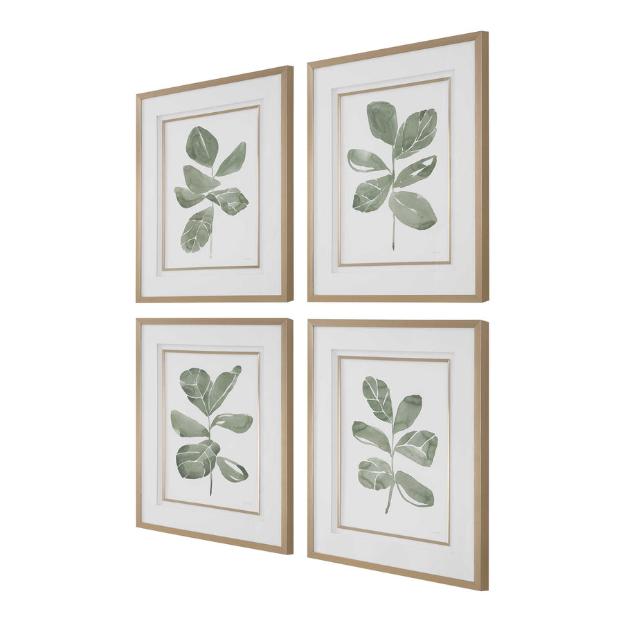 "FIDDLE HEAD LEAF" BOTANICAL PRINTS | SET OF 4