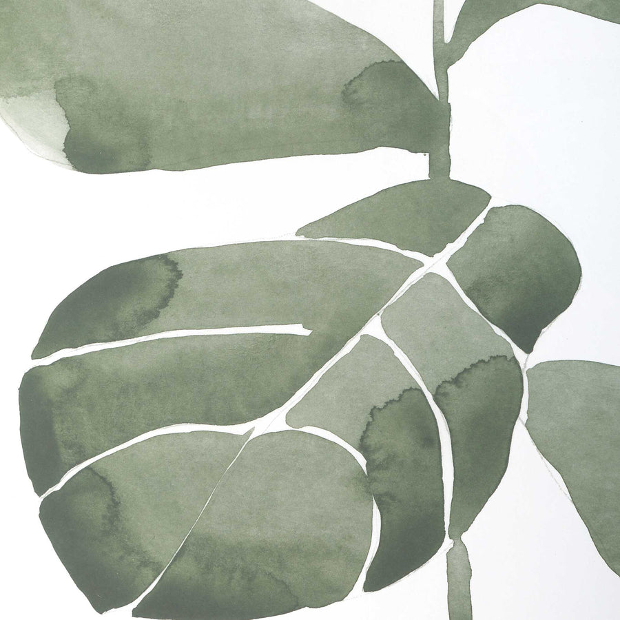 "FIDDLE HEAD LEAF" BOTANICAL PRINTS | SET OF 4