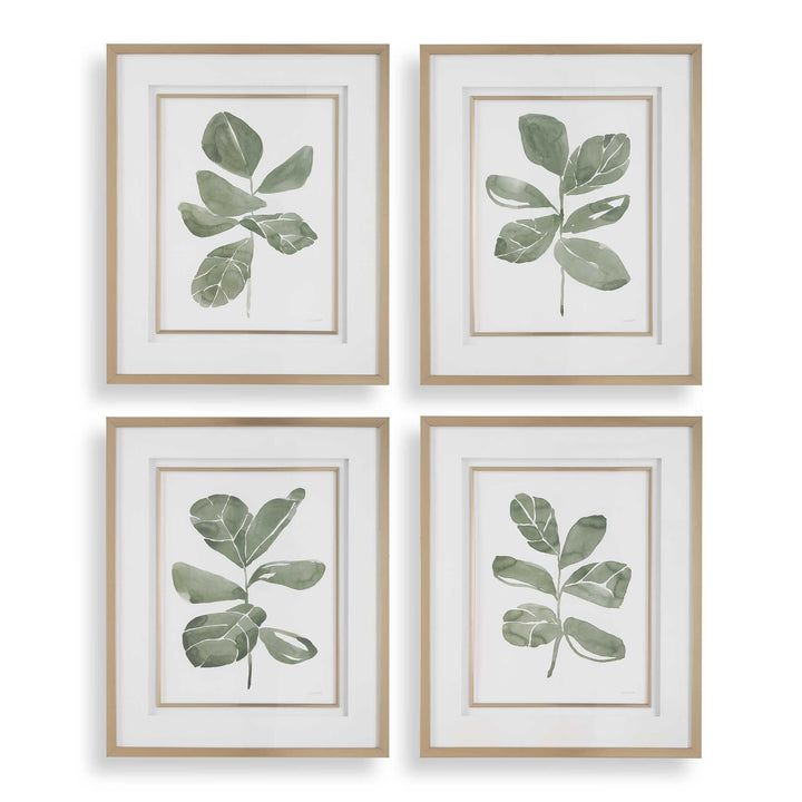 "FIDDLE HEAD LEAF" BOTANICAL PRINTS | SET OF 4