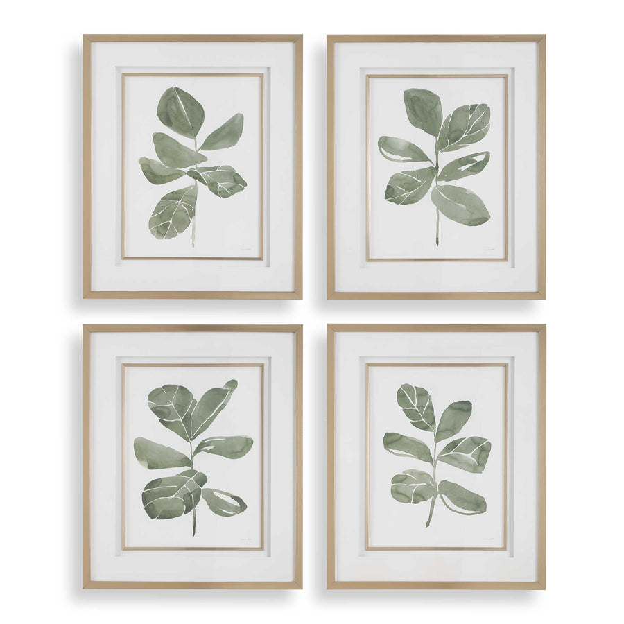 "FIDDLE HEAD LEAF" BOTANICAL PRINTS | SET OF 4