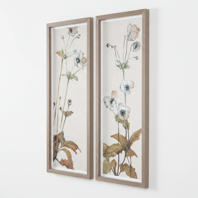 "GARDEN STUDY" FRAMED FLORAL PRINTS