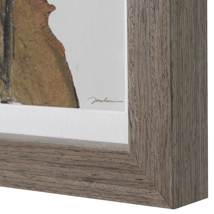 "GARDEN STUDY" FRAMED FLORAL PRINTS
