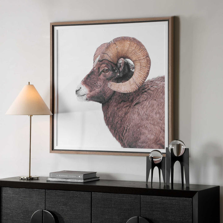 "BIG HORN SHEEP" FRAMED PRINT