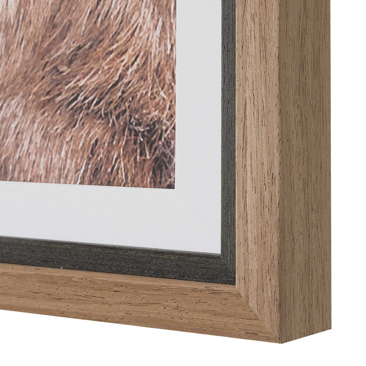"BIG HORN SHEEP" FRAMED PRINT