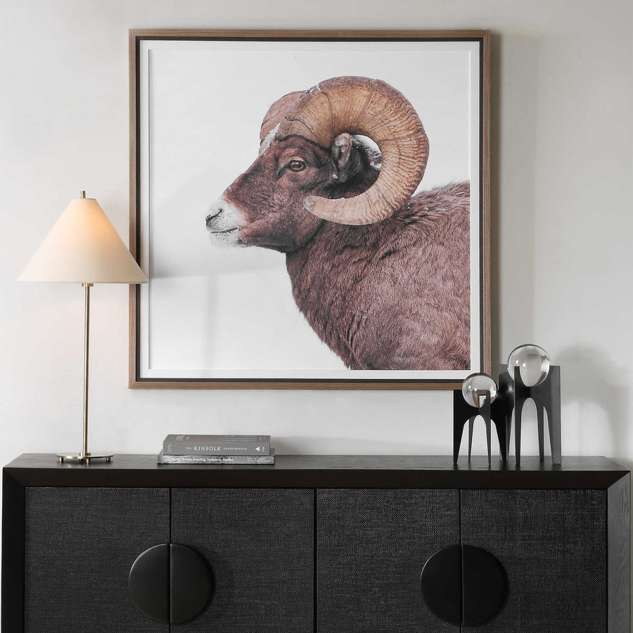 "BIG HORN SHEEP" FRAMED PRINT