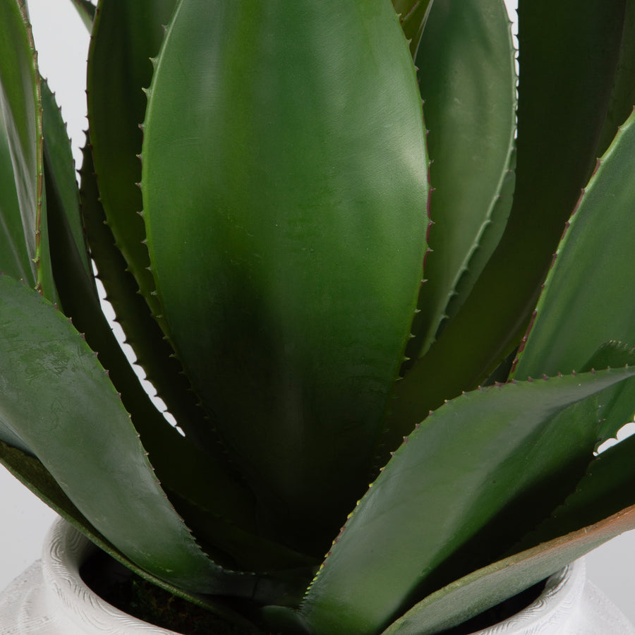 TIERRA AGAVE CENTERPIECE WITH VASE