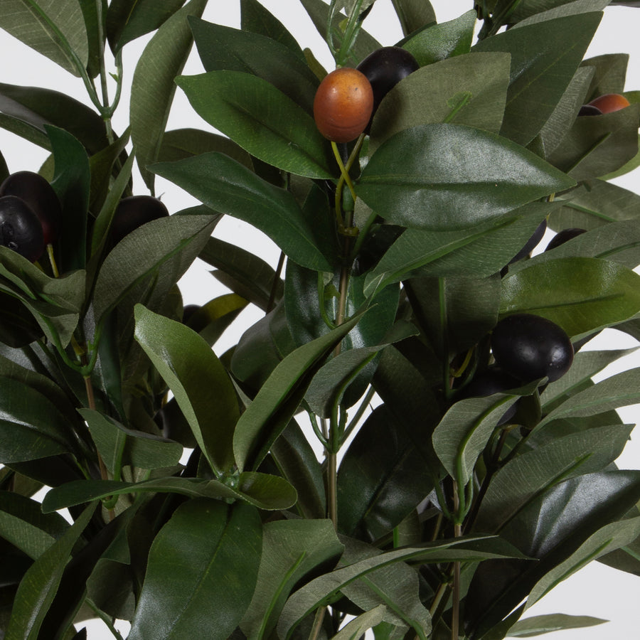ELENA OLIVE CENTERPIECE