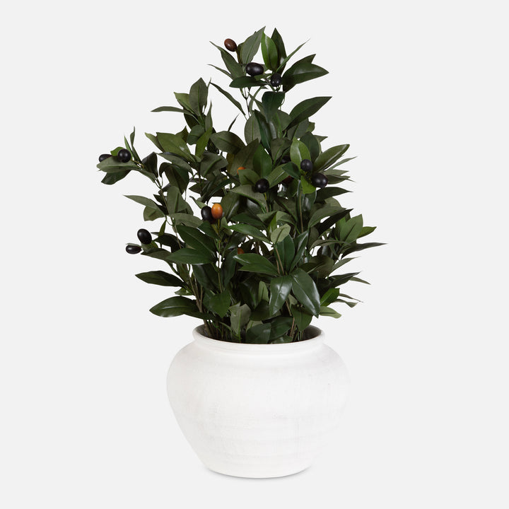 ELENA OLIVE CENTERPIECE