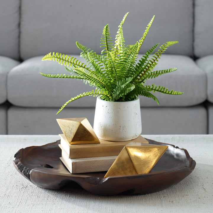 BOSTON FERN IN WHITE CERAMIC POT