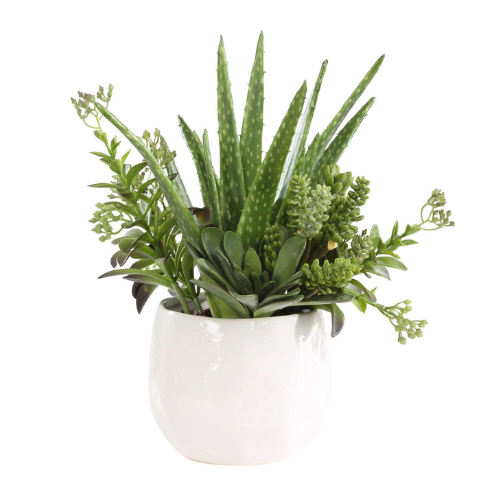 SUNDOWN SUCCULENT ACCENT PLANTER