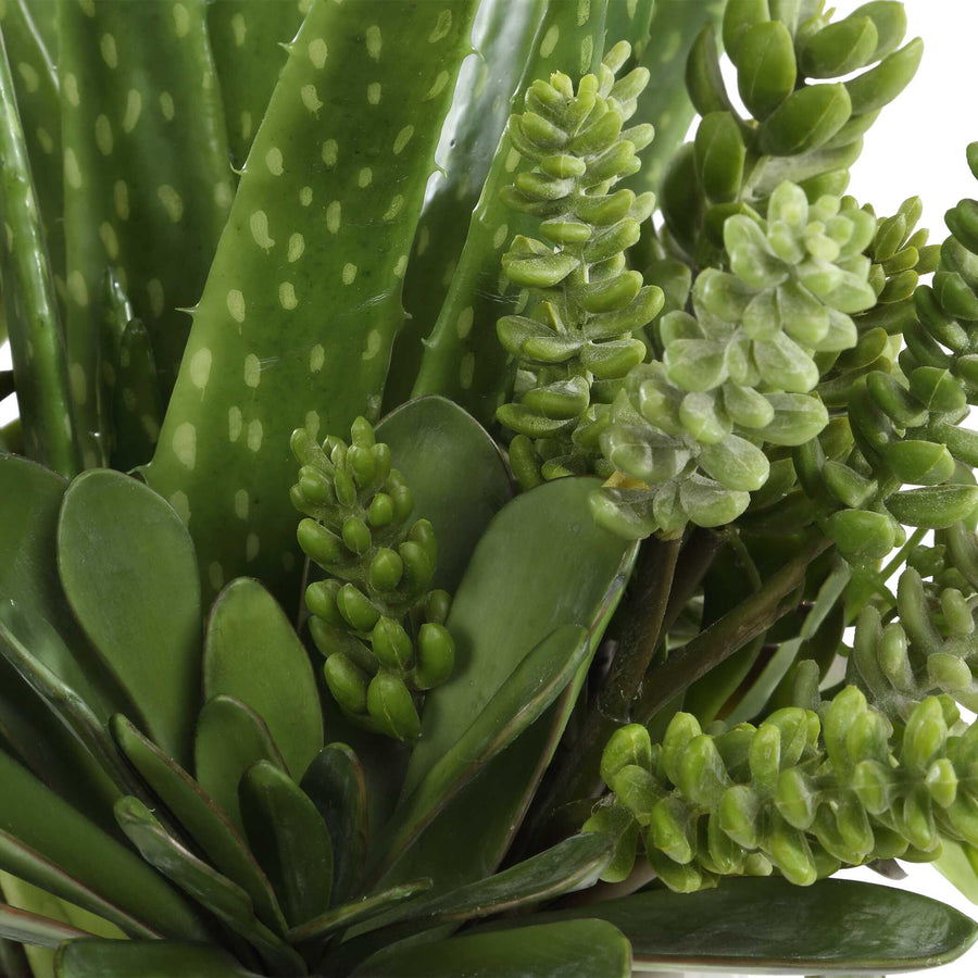 SUNDOWN SUCCULENT ACCENT PLANTER