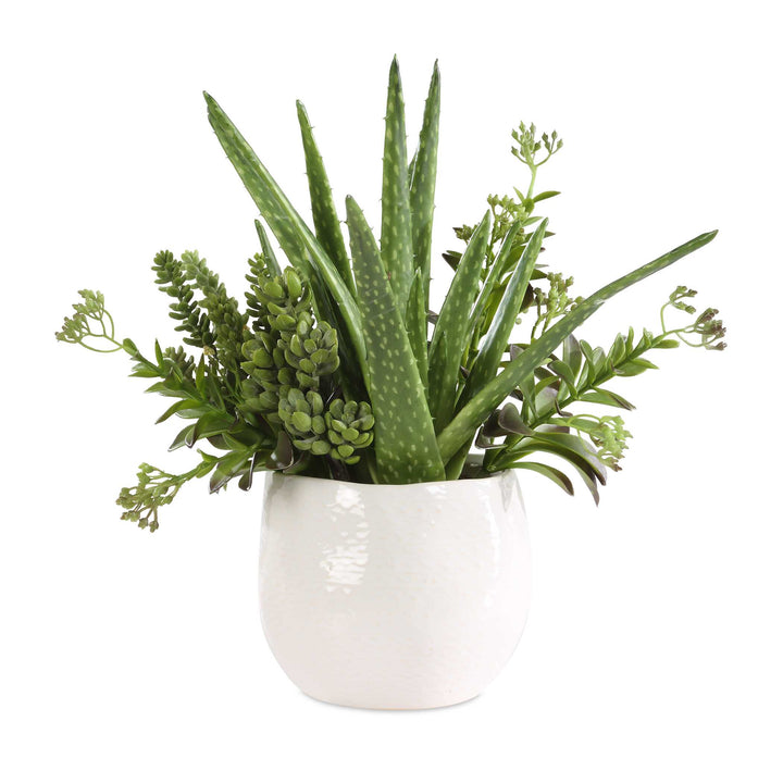 SUNDOWN SUCCULENT ACCENT PLANTER