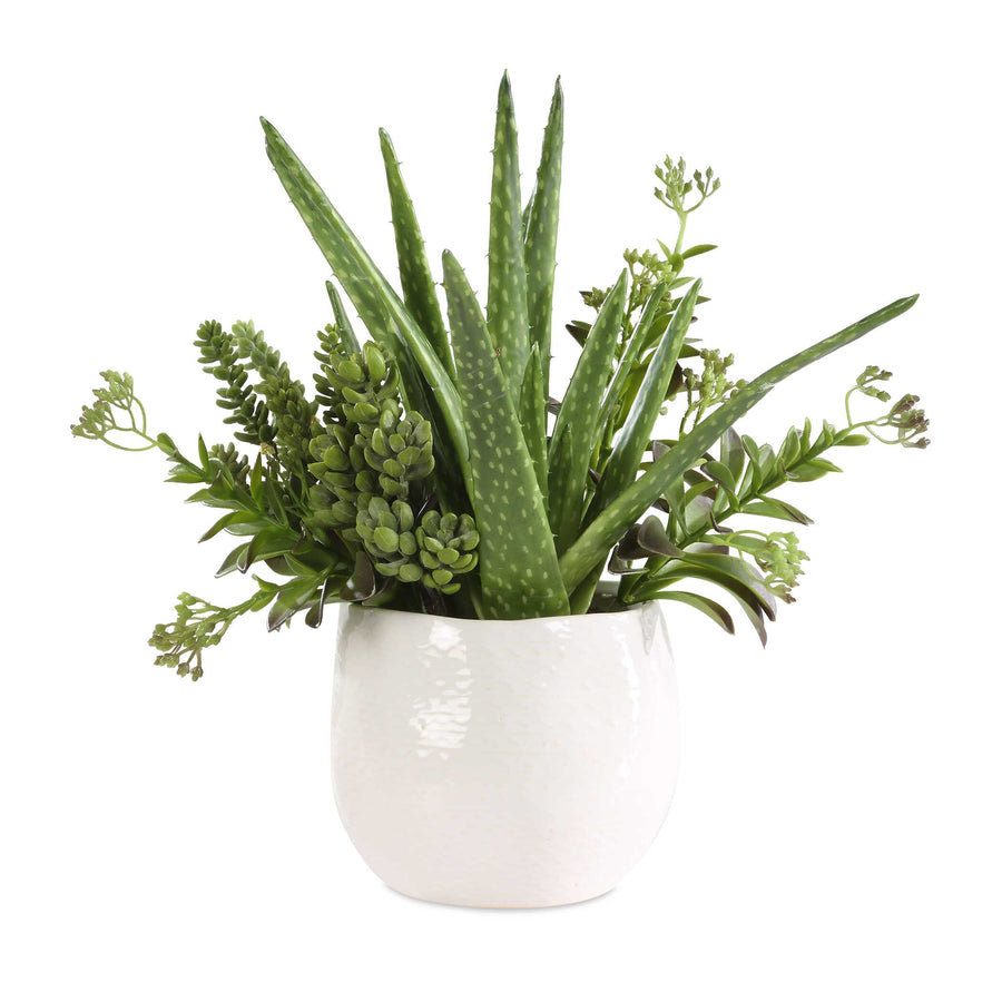 SUNDOWN SUCCULENT ACCENT PLANTER