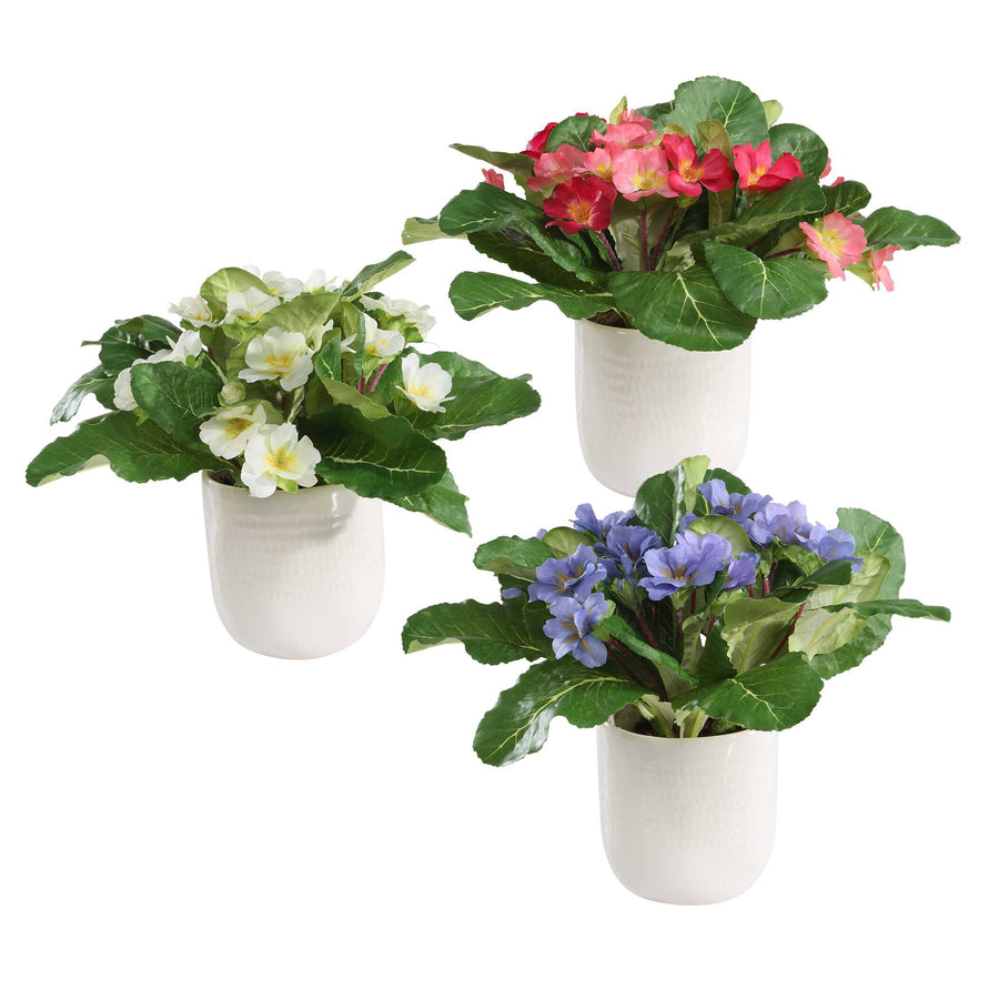 TRILOGY PRIMROSE ACCENTS IN VASES SET/3