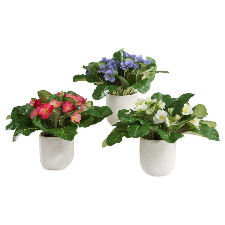 TRILOGY PRIMROSE ACCENTS IN VASES SET/3