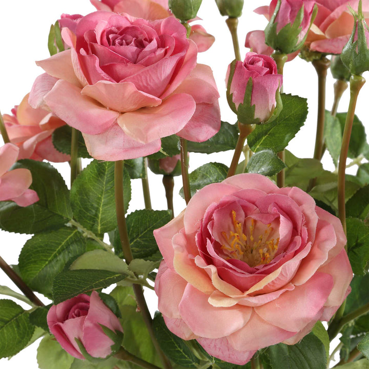 ADORATION ROSE BOUQUET