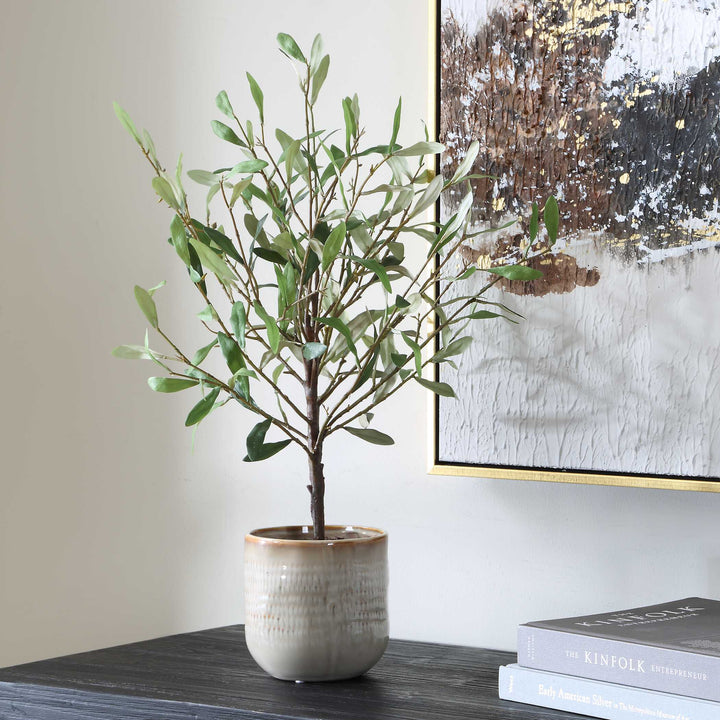 SOLEA OLIVE ACCENT & TEXTURED VASE