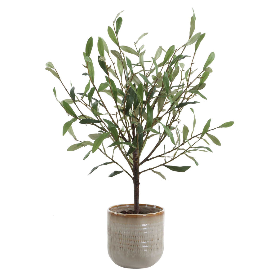SOLEA OLIVE ACCENT & TEXTURED VASE
