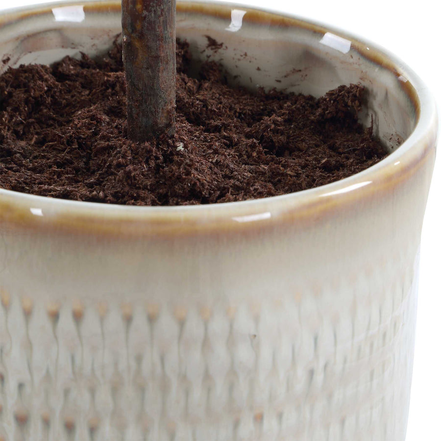 SOLEA OLIVE ACCENT & TEXTURED VASE