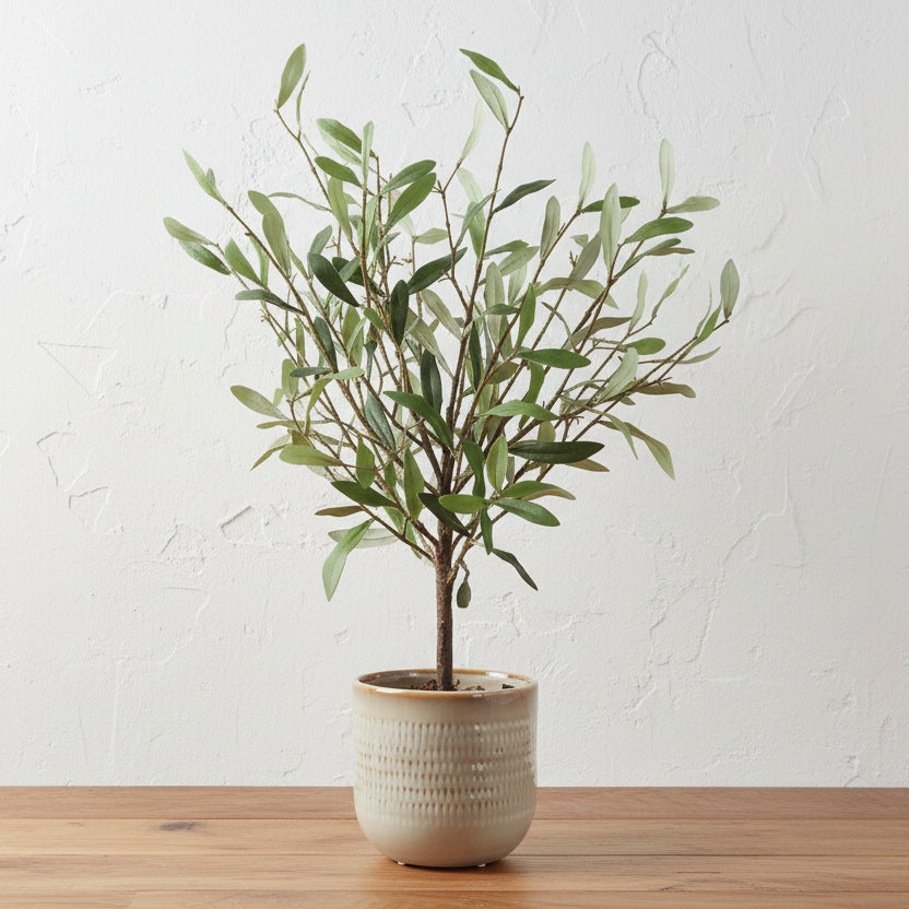 SOLEA OLIVE ACCENT & TEXTURED VASE