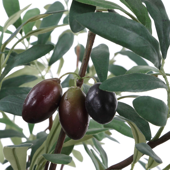 MARISOL POTTED OLIVE PLANT