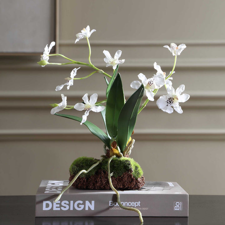 CLOVIS ORCHID DROP-IN