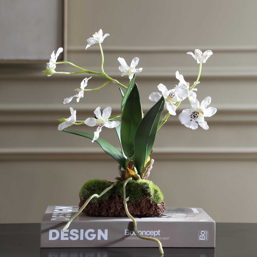 CLOVIS ORCHID DROP-IN