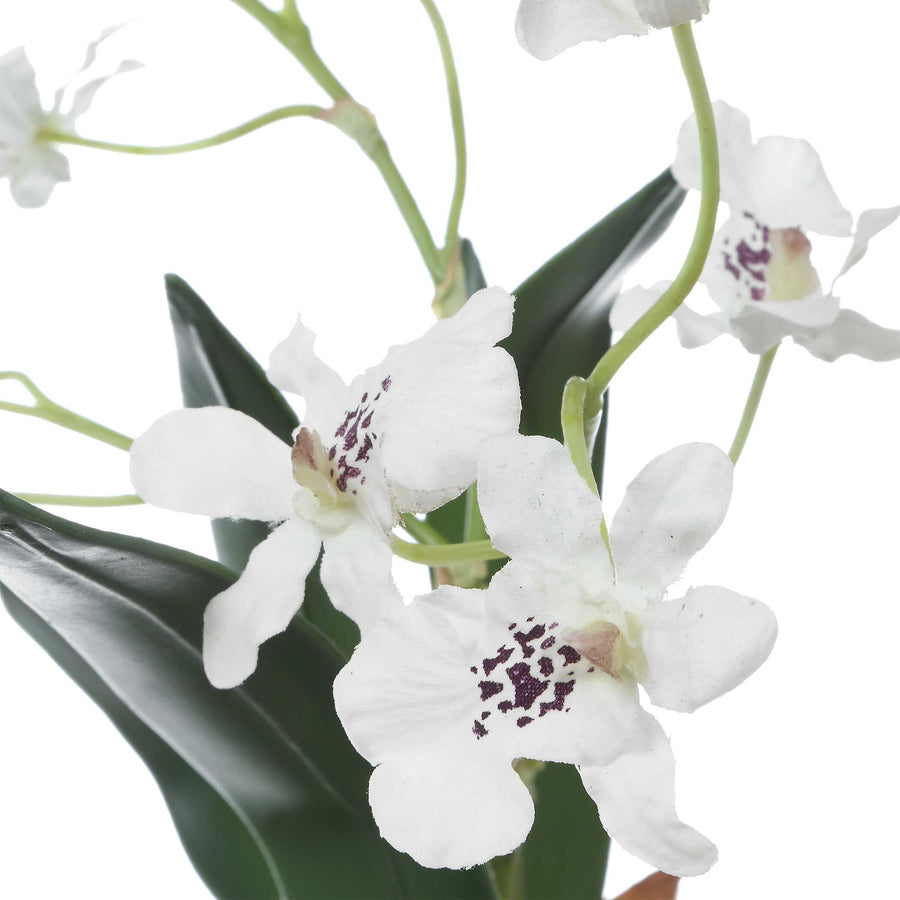 CLOVIS ORCHID DROP-IN
