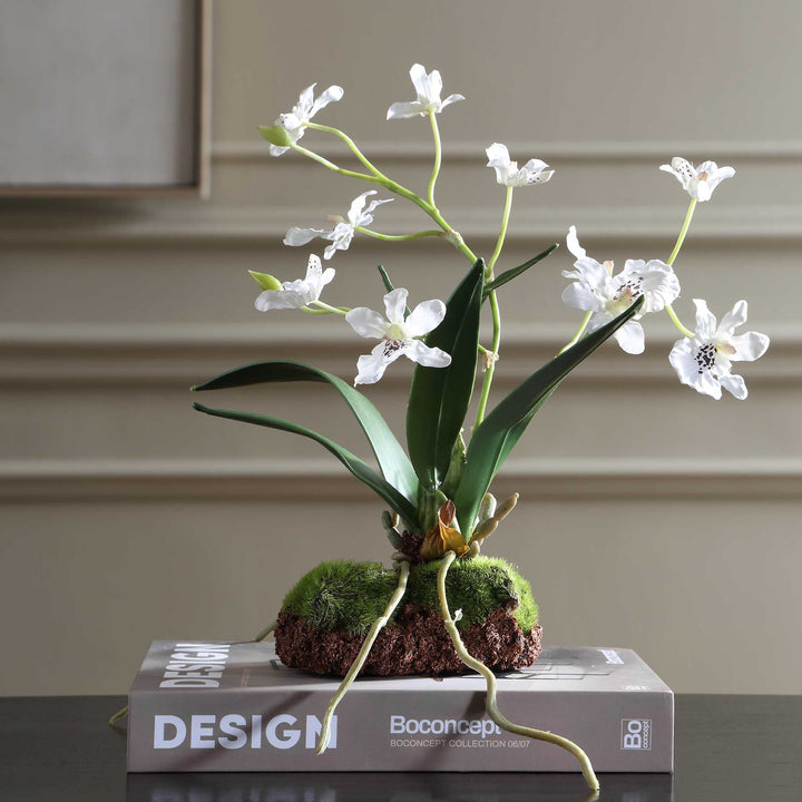 CLOVIS ORCHID DROP-IN