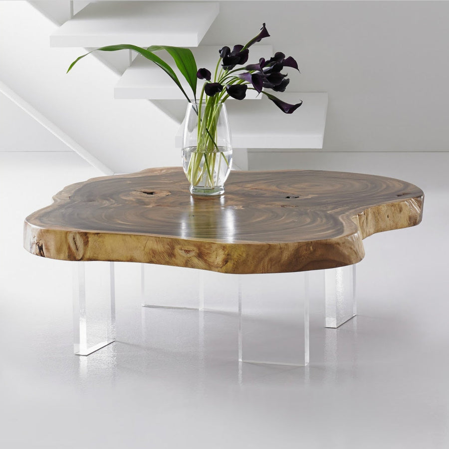 Freeform Coffee Table with acrylic clear Legs