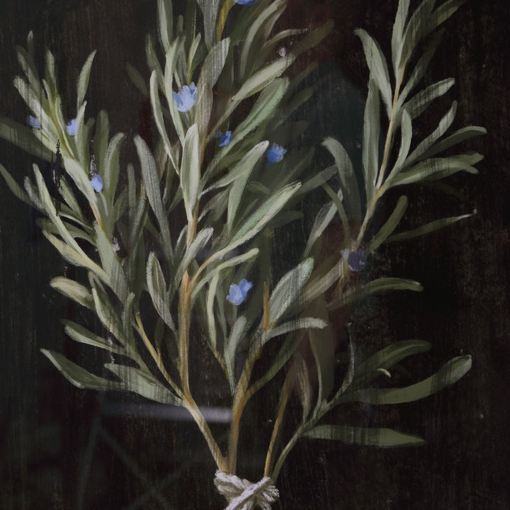 "HERBARIUM" GLASS FRAMED PRINTS | SET OF 4