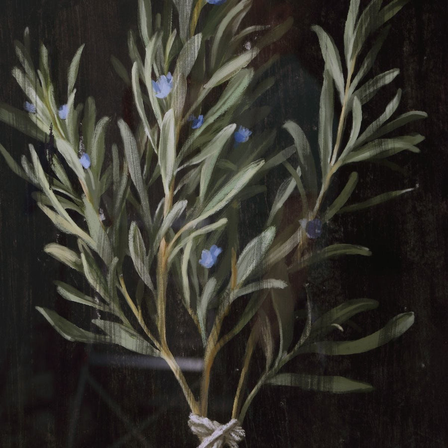 "HERBARIUM" GLASS FRAMED PRINTS | SET OF 4