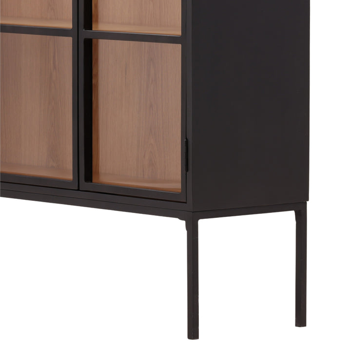 IMARA IRON + GLASS DOOR CABINET