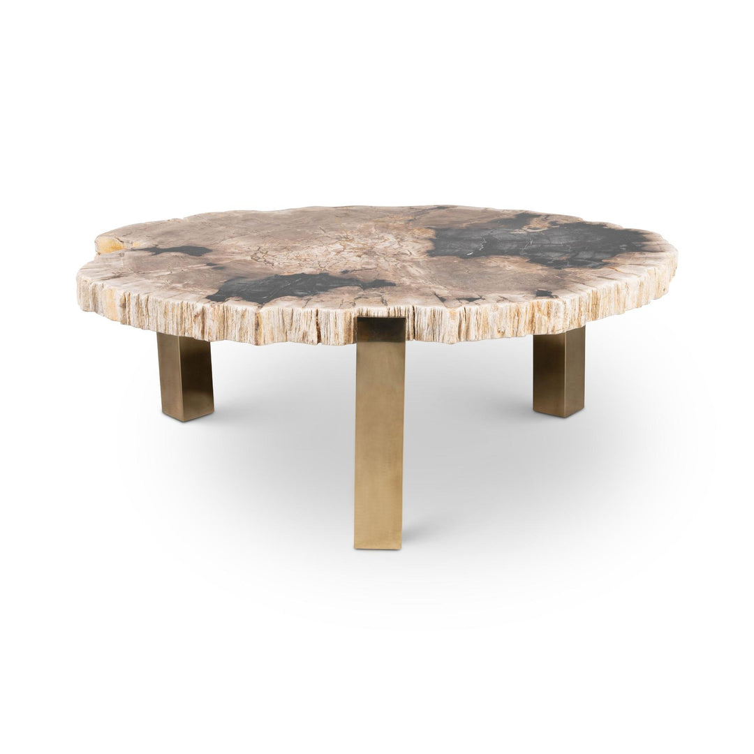 RELIQUE KOL NATURAL DARK PETRIFIED WOOD COFFEE TABLE - NATURAL DARK - FRONT VIEW