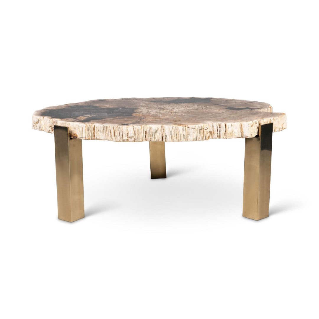 RELIQUE KOL NATURAL DARK PETRIFIED WOOD COFFEE TABLE - NATURAL DARK - FRONT VIEW