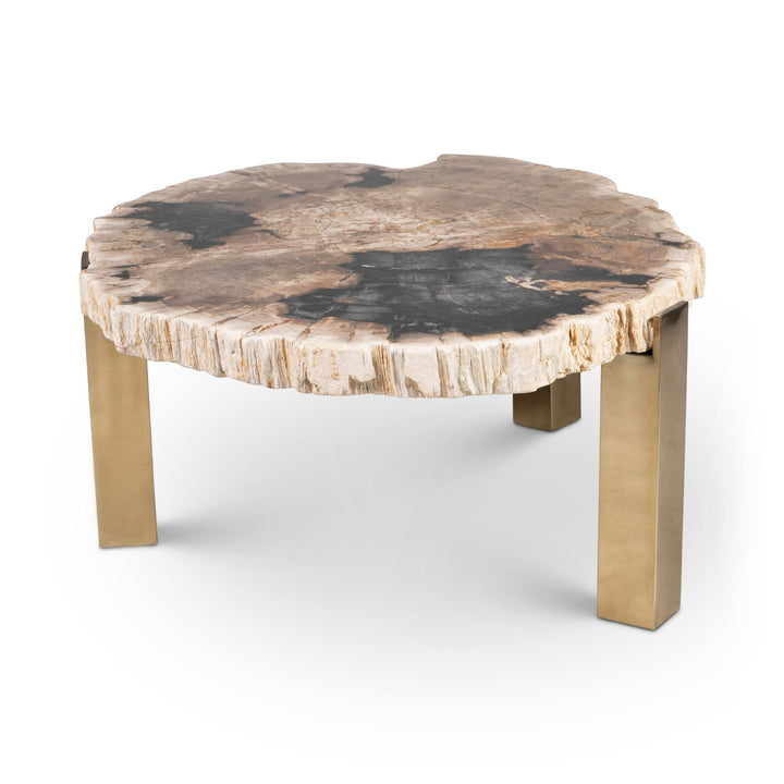 RELIQUE KOL NATURAL DARK PETRIFIED WOOD COFFEE TABLE - NATURAL DARK - FRONT VIEW