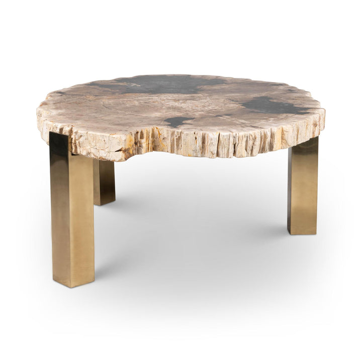 RELIQUE KOL NATURAL DARK PETRIFIED WOOD COFFEE TABLE - NATURAL DARK - FRONT VIEW