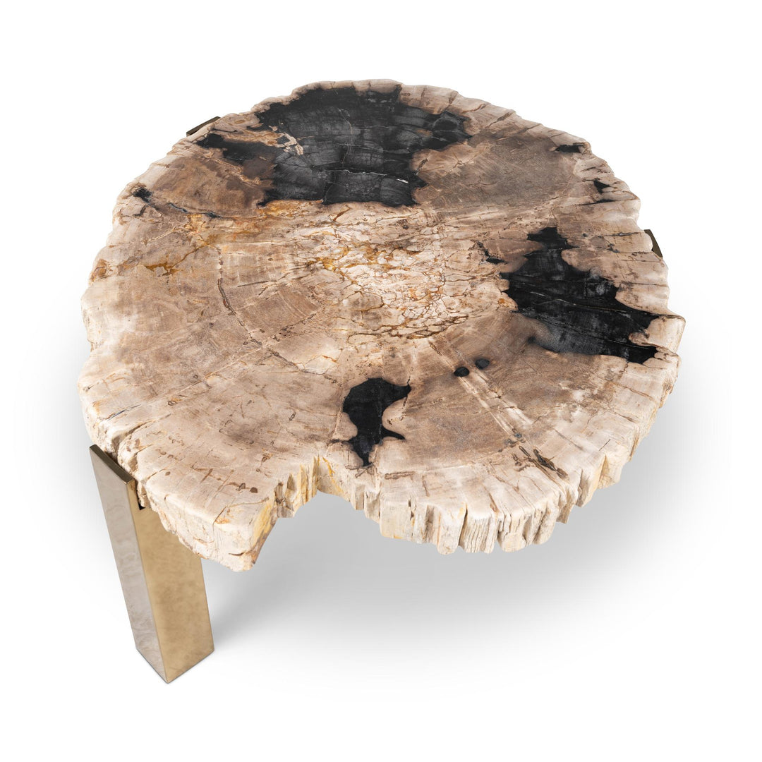 RELIQUE KOL NATURAL DARK PETRIFIED WOOD COFFEE TABLE - NATURAL DARK - UPPER VIEW