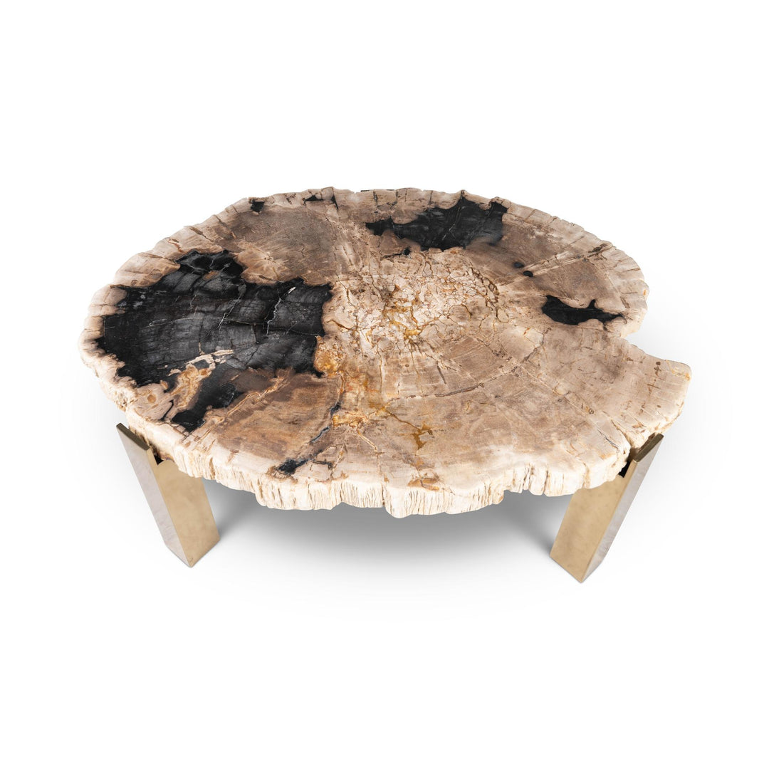 RELIQUE KOL NATURAL DARK PETRIFIED WOOD COFFEE TABLE - NATURAL DARK - UPPER VIEW