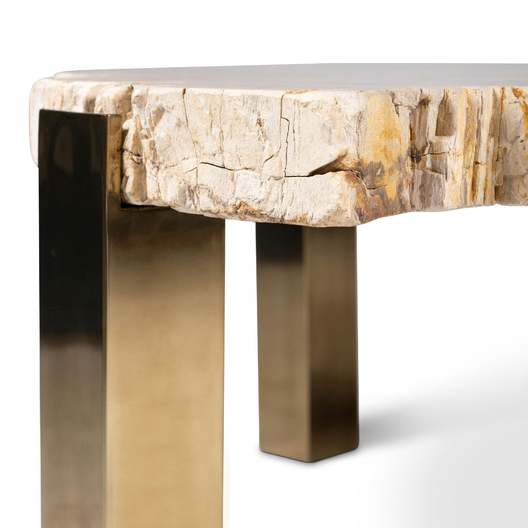 RELIQUE KOL NATURAL DARK PETRIFIED WOOD COFFEE TABLE - NATURAL DARK - LEG VIEW