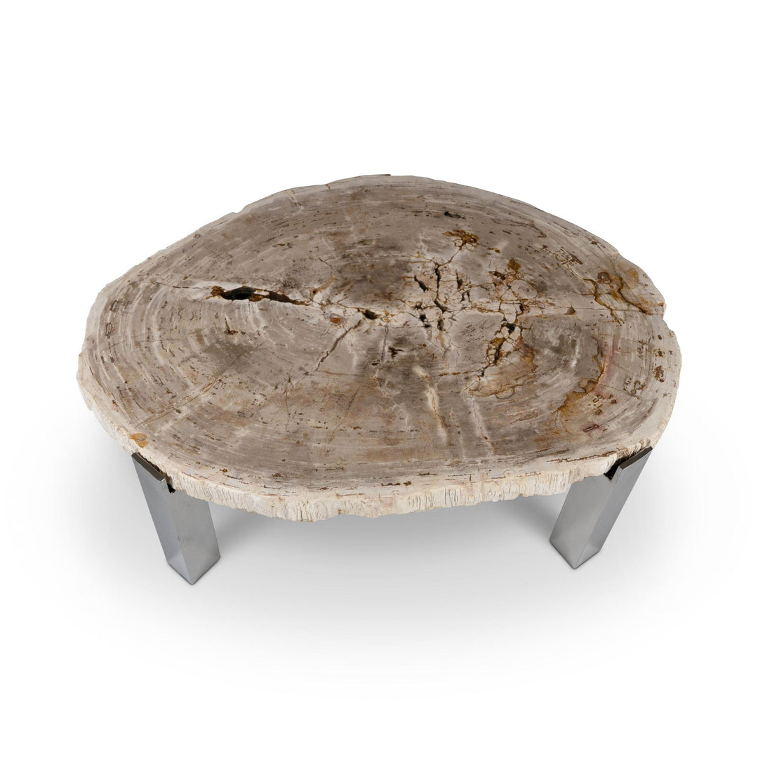 RELIQUE KOL NATURAL DARK PETRIFIED WOOD COFFEE TABLE - NATURAL LIGHT - UPPER VIEW