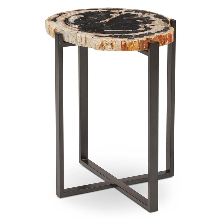 RELIQUE MILO SOLID NATURAL EDGE PETRIFIED WOOD END TABLE - NATURAL DARK - FRONT VIEW