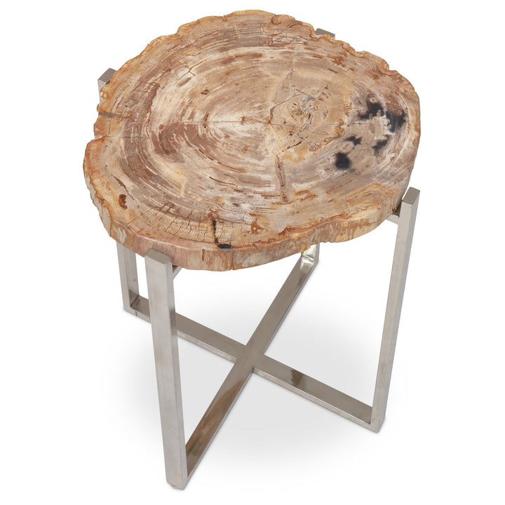 RELIQUE MILO SOLID NATURAL EDGE PETRIFIED WOOD END TABLE - NATURAL LIGHT - UPPER VIEW