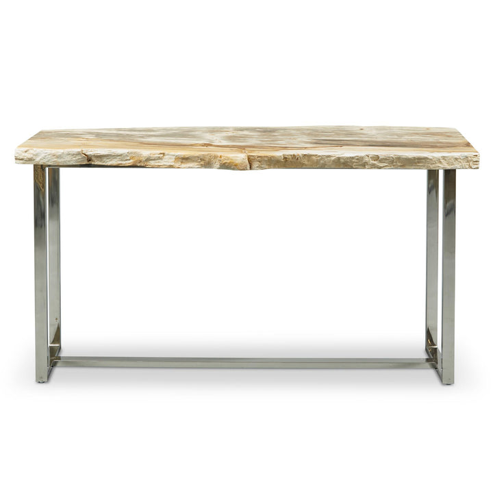 Petrified Wood Console Table