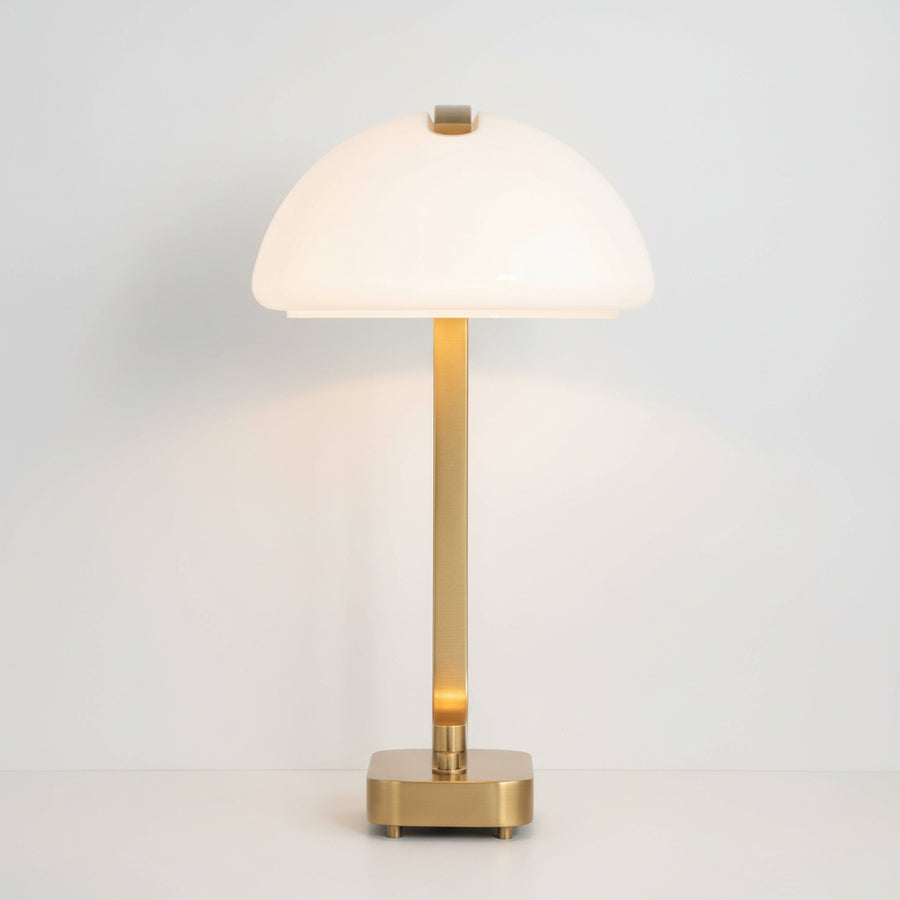 BEND THE RULES BRASS DESK LAMP