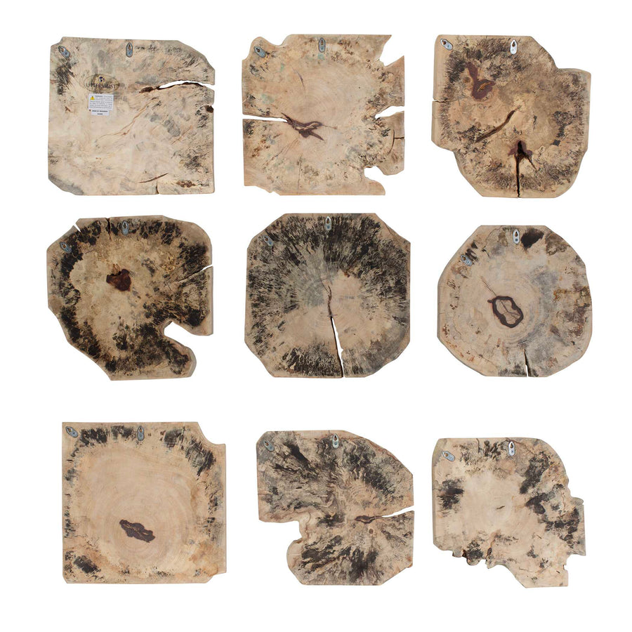 BAHATI WOOD BLEACHED WALL DECOR | SET OF 9